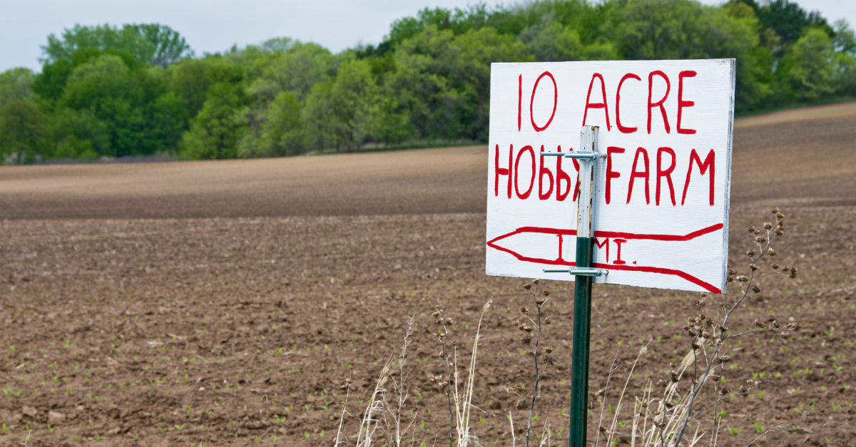 What Does Windfall Mean In Uk at Shirley Hill blog