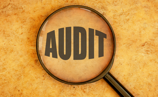 Who's most at risk of a Tax Audit?