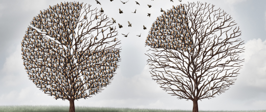 Managing Inheritance or Divorce Settlements